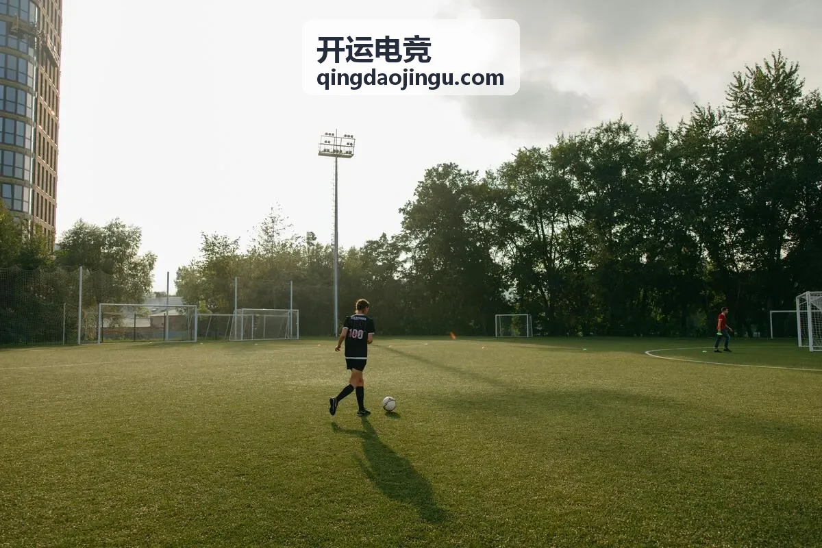 开运电竞数据查询服务